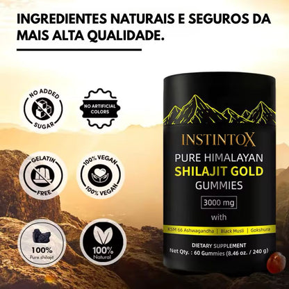 Gomas de Shilajit Puro dos Himalaias